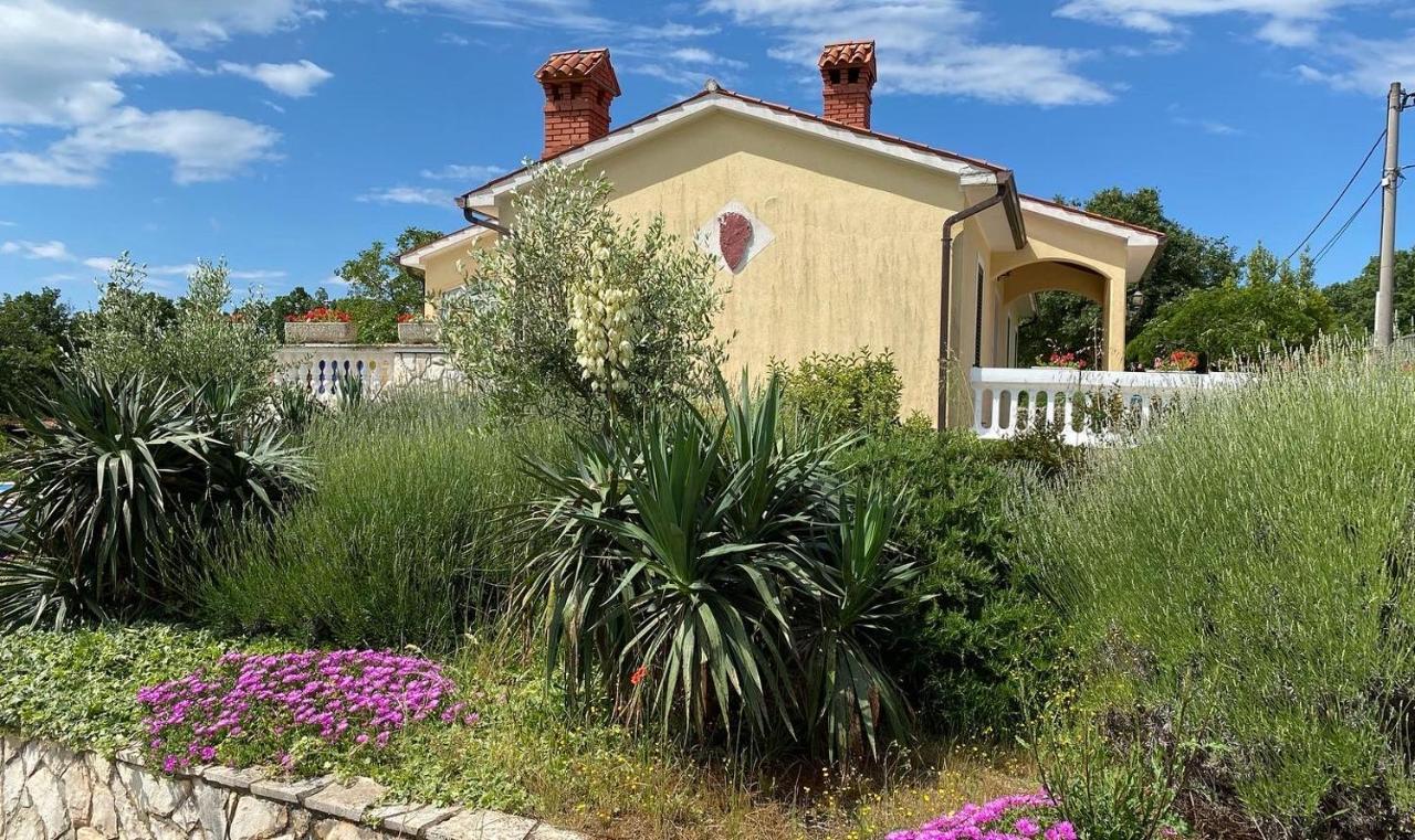 Villa Yucca Istra Labin  Kültér fotó