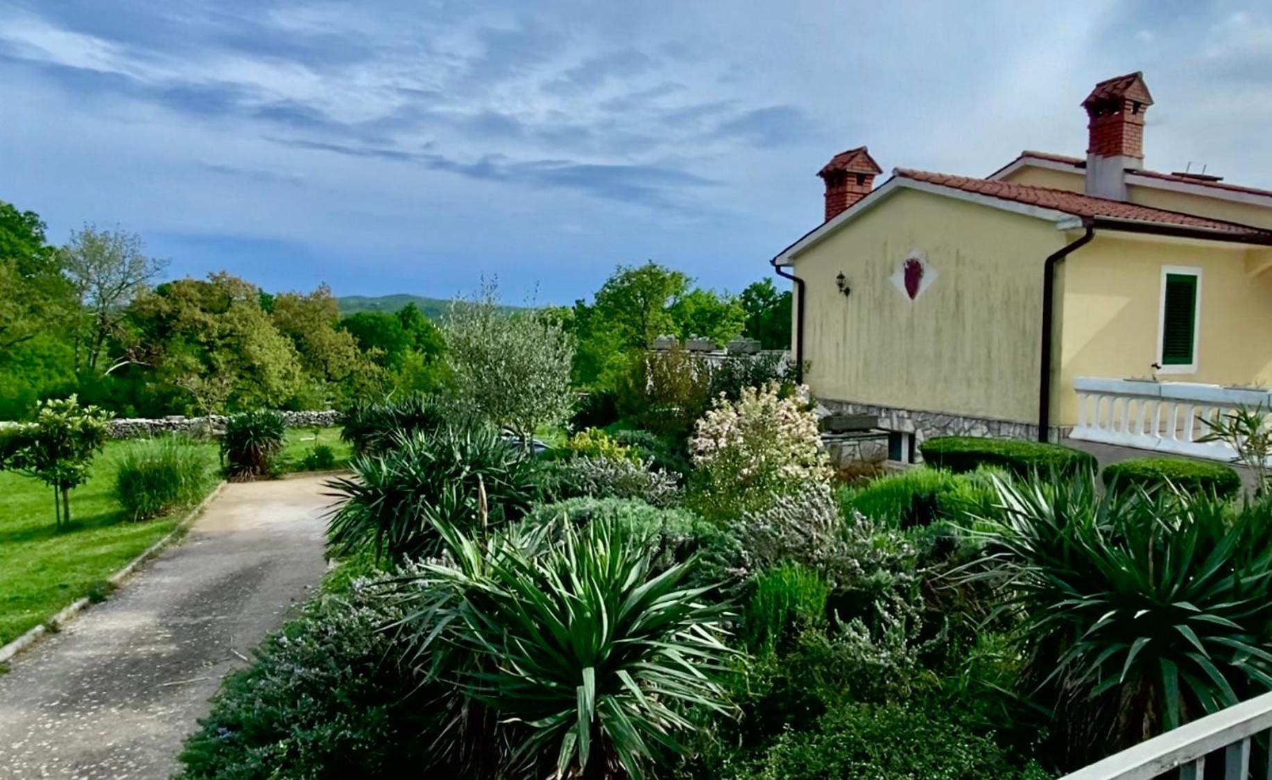 Villa Yucca Istra Labin  Kültér fotó